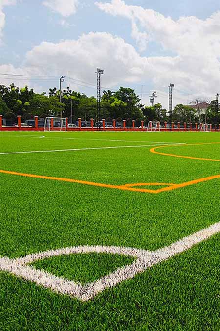 Applicable fields of football grass